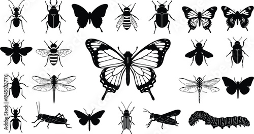 Insect silhouettes collection featuring butterfly, beetle, bee, dragonfly and caterpillar isolated for wildlife entomology, nature and bug illustration concept