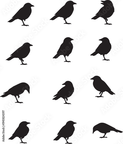 Collection of black silhouettes of birds perched in various relaxed postures Vector