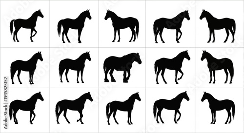 horse silhouettes vector