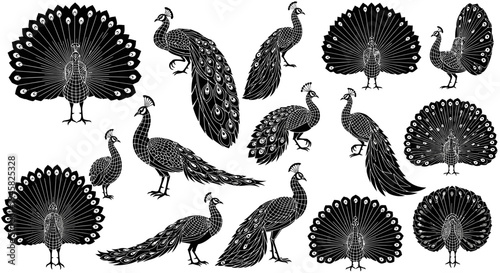 set of hand drawn birds