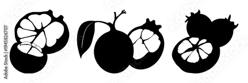 Mangosteen cross-section set with solid black silhouette on white background featuring laboratory-grown, exotic, future food with fruit and biology