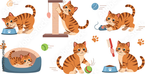 Cute tabby kitten daily activities set with eating playing scratching sleeping and grooming adorable pet cat cartoon vector illustration