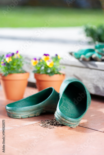 Frühlingsblumen in Terracotta Blumentöpfen im Garten