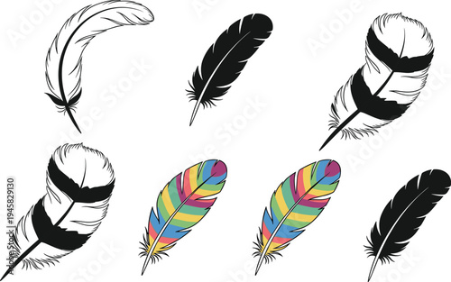 Set of bird feather icons in various styles including colorful patterns black silhouettes and detailed line art for nature and bohemian design.