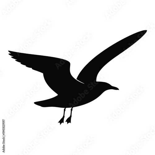 A striking black silhouette of a seagull in mid flight against white