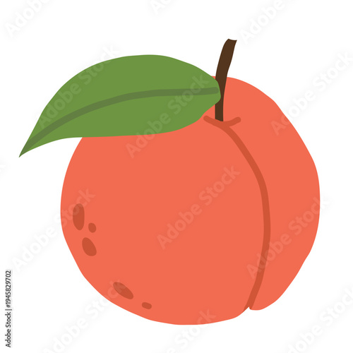 Peach fruit with leaf icon isolated on white background. Sweet summer fruit. Simple vector illustration