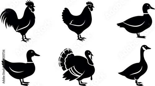 Silhouette of various poultry and waterfowl in black on a white background