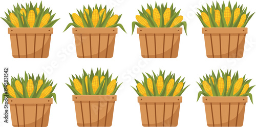 Cartoon Corn Plants in Wooden Pots for Agricultural and Farming Illustration