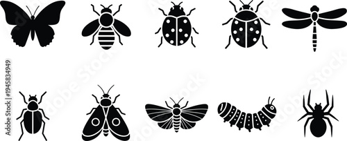 Collection of ten black insect and bug silhouettes including butterfly bee ladybug and spider