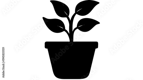 Flower plant pot vector