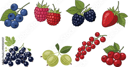 Set of various fresh berries icons featuring strawberries blueberries raspberries and currants in colorful cartoon style for food and nature design.