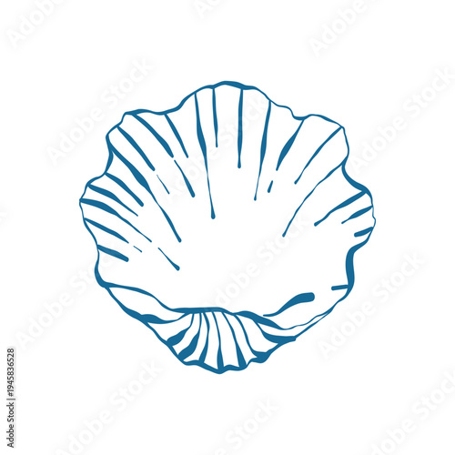Seashell in doodle style. Sea snail shell in blue. Hand drawn vector outline illustration isolated on white background.
