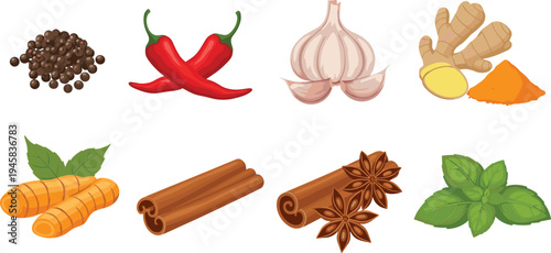 Set of various spices and herbs icons featuring chili peppers garlic ginger cinnamon sticks star anise and turmeric in colorful flat cartoon style for cooking design.