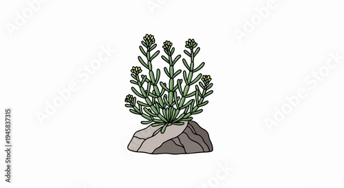 A simple green plant with yellow flowers grows from a rock