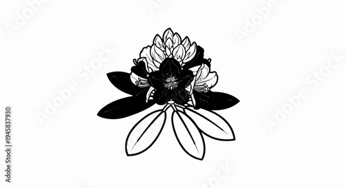 Black and white illustration of a blooming flower with detailed petals and leaves