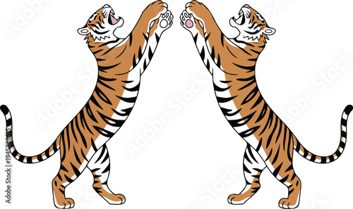 Symmetrical rearing tiger vector set with orange and black stripes isolated on white for heraldic and mascot