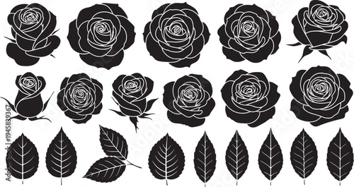 Roses and Leaves in Elegant Black and White Design