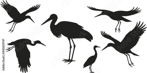 Set of stork and heron bird silhouettes in flying and standing poses, elegant long leg water birds isolated vector collection for wildlife and nature design