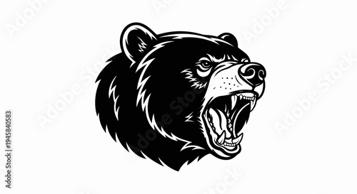 Fierce black bear head roaring aggressively, sharp teeth bared