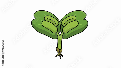 Simple cartoon illustration of a young green seedling with two large leaves