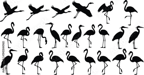 Flamingo, heron, crane silhouettes, pink exotic birds, standing, flying, wading, wildlife animals, tropical nature, wetland species, aquatic bird icons.