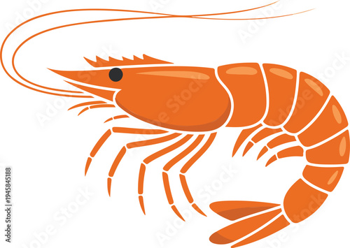 cooked shrimp vector illustration featuring an orange prawn with detailed shell and antennae for seafood restaurant branding,