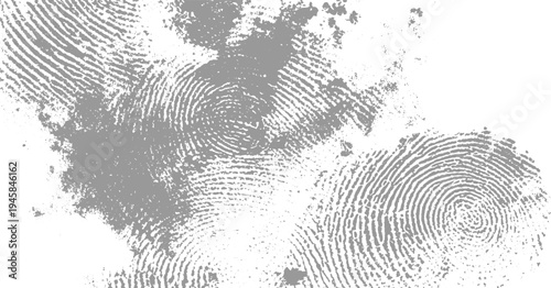 Close up of multiple grey fingerprints with textured smudges on a white background gray