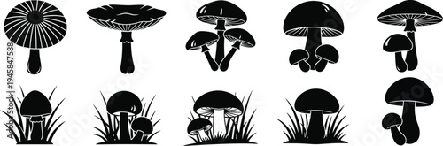 Mushroom silhouettes vector icons set featuring fungi with grass, forest toadstools, and wild mushroom variations for woodland nature and organic branding.