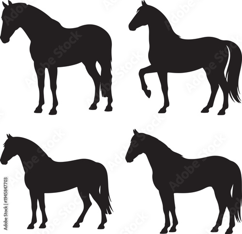 Black Horse Silhouette Vector Illustration