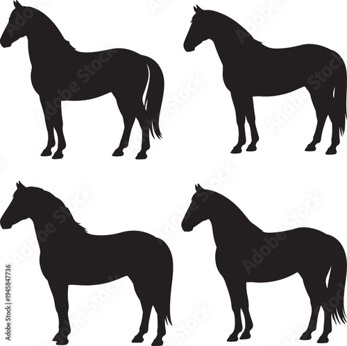 Black Horse Silhouette Vector Illustration