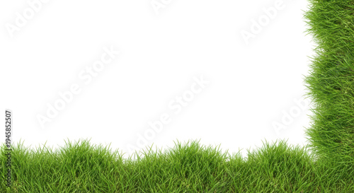 Green Grass Background for Nature and Outdoor Photography Projects