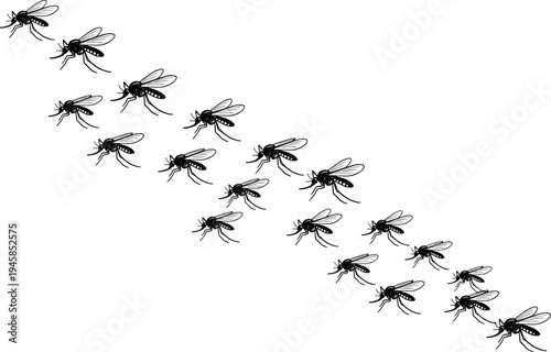 Flying mosquito swarm, black insect silhouettes, pest control concept, malaria and dengue fever virus transmission, parasitic bug wing sketches, isolated white background.