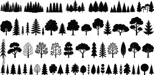 Collection of forest tree silhouettes set including pine oak and fir trees black vector icons isolated on white for nature design