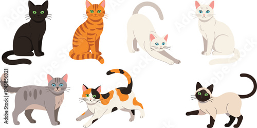 Cute Cat Illustrations Featuring Various Breeds and Poses for Animal and Pet-Themed Designs