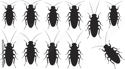 Set of cockroach silhouettes, insect pest vector collection, roach icons isolated, entomology illustration for pest control, infestation concept design