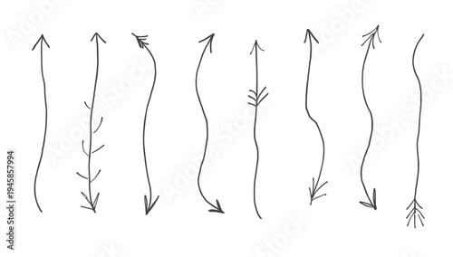 A simple, elegant illustration of botanical elements creates a calming and organic feel. Ideal for backgrounds, wellness content, or branding that evo