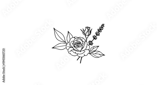 Flower with rose, lavender, and leaves in a line art illustration style featuring drawing, botanical, plant with leaf
