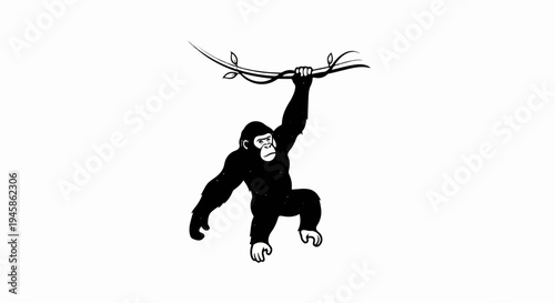 A black gorilla hangs from a vine with leaves against a white background
