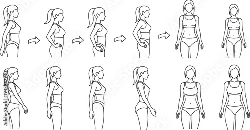 Female Body Weight Loss Transformation Stages Woman Slimming Process Fitness Before and After Vector Illustration