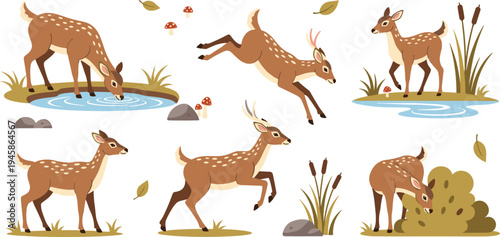 Vector Illustration Set of Spotted Deer or Fawns in Various Poses Including Jumping Drinking Water and Grazing Isolated on White