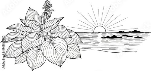 A line art depiction of a lush plant with flowering spikes beside a sun rising over the ocean