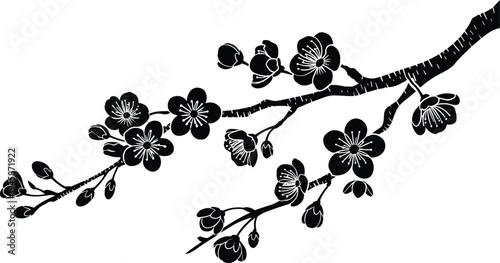 Black and white of a branch with multiple blossoming flowers and buds blossoms