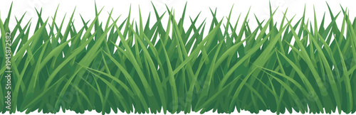 Closeup View of Tall Green Grass Blades with Varied Shapes and Textures
