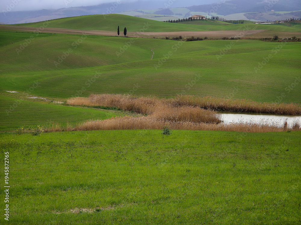 Fototapeta premium Green rolling hills of Val d'Orcia landscape in Tuscany, Italy, at spring