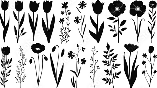 Collection of black and white floral featuring various types of flowers and plants tulips