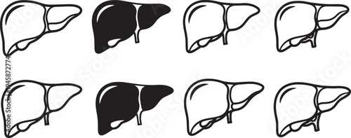 A set of vector line art liver silhouettes in different orientations and one highlighted in black