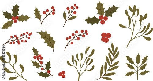 Christmas Holly and Winter Berry Branches Collection Festive Botanical Holiday Decoration Vector Illustration Set
