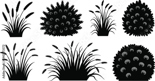 Collection of black and white of wheat stalks and floral arrangements in various styles
