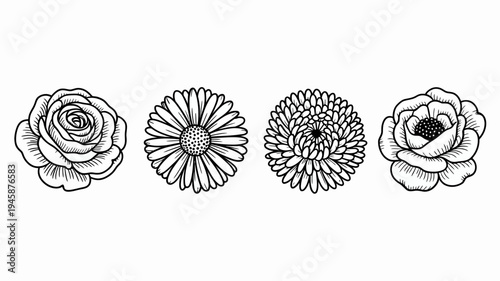 A collection of four distinct floral illustrations rendered in black and white showcases different flower types and petal structures high quality professional detailed modern elegant stylish