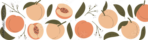 Peach fruit seamless pattern with whole and sliced peaches green leaves summer food background flat vector illustration